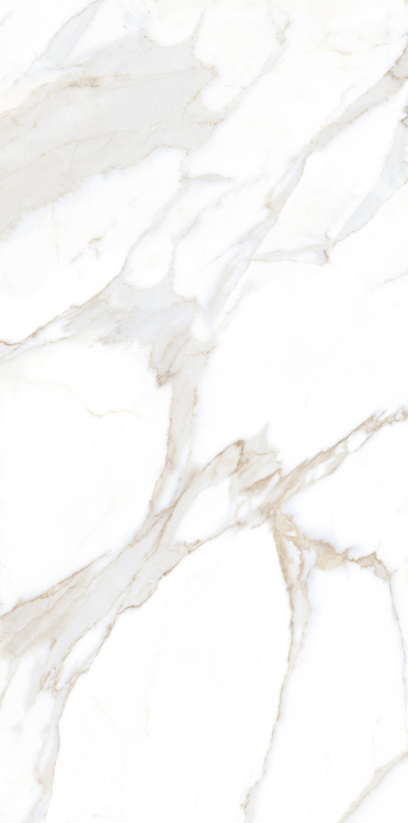 Vloertegel Calacatta Jade Wit 60x120 cm Rechthoek – Mat Gerectificeerd – Marmerlook met Grijze Adering