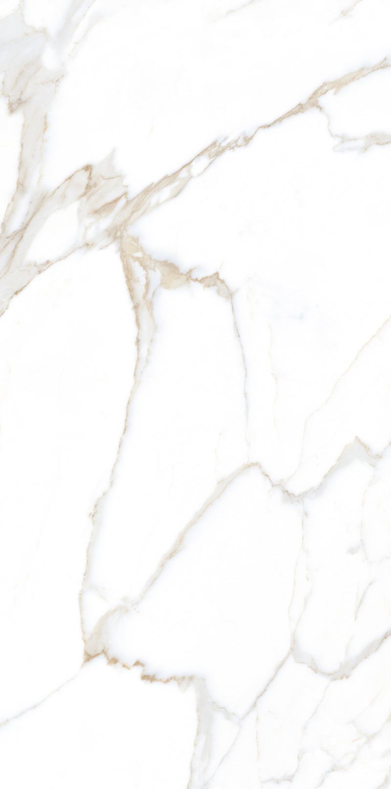 Vloertegel Calacatta Jade Wit 60x120 cm Rechthoek – Mat Gerectificeerd – Marmerlook met Grijze Adering