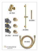 Caral inbouwthermostaat 2 stopkranen compleet met Beam hoofddouche glijstang en staafhanddouche geborsteld messing