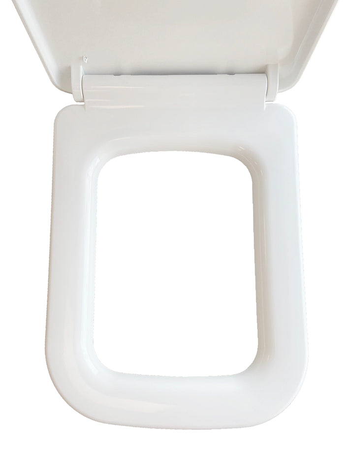 Carré toiletzitting softclose en quick release glans wit