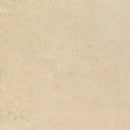Carrelage de sol Aurinia/1 60x60 cm