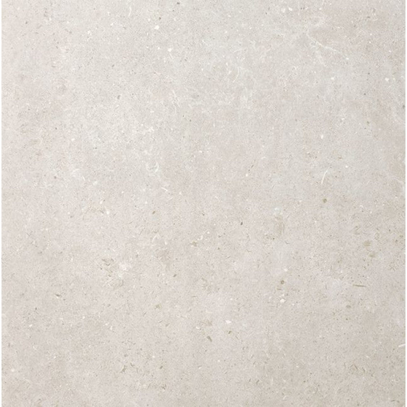 Carrelage de sol Ours gris clair 59,8 x 59,8 cm