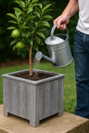 Square planter set of 3 brushed Grey Acacia FSC