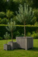Square planter set of 3 brushed Grey Acacia FSC
