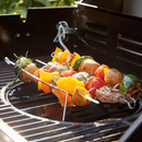 GasBBQ Landmann Triton MaxX PTS 4.1 Silver