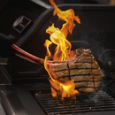 GasBBQ Landmann Triton MaxX PTS 4.1 Silver