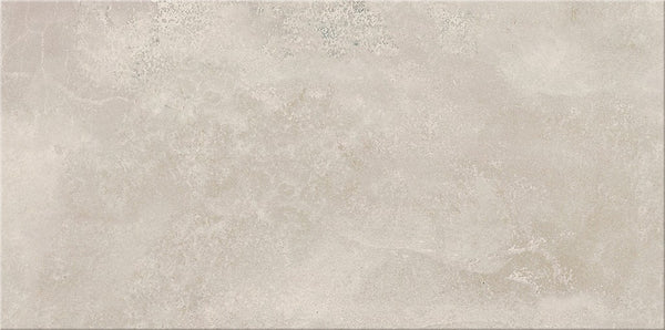 Ceramic wall tile Normandie Light gray 29.7x59.8 cm G1