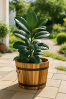 Planter tree tub set of 2 oiled acacia Natural FSC 