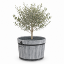 Round planter L Tub Lignum Acacia FSC 55 x 38 cm brushed Gray