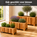 Storm Lignum Jardinière Lot de 3 - Huilé Naturel - S M L - Jardinières Rectangulaires d'Extérieur - Bois d'Acacia certifié FSC - pour Jardin et Terrasse
