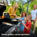 GasBBQ Landmann Triton PTS 3.1 Silver