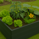 Square planter Grow box Lignum Acacia FSC 80 x 80 x 30 cm Black