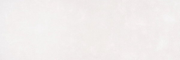 Carrelage mural Concept Blanc 25x75 cm