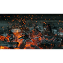 Landmann BBQ Premium restaurant Houtskool 10 KG Wattle